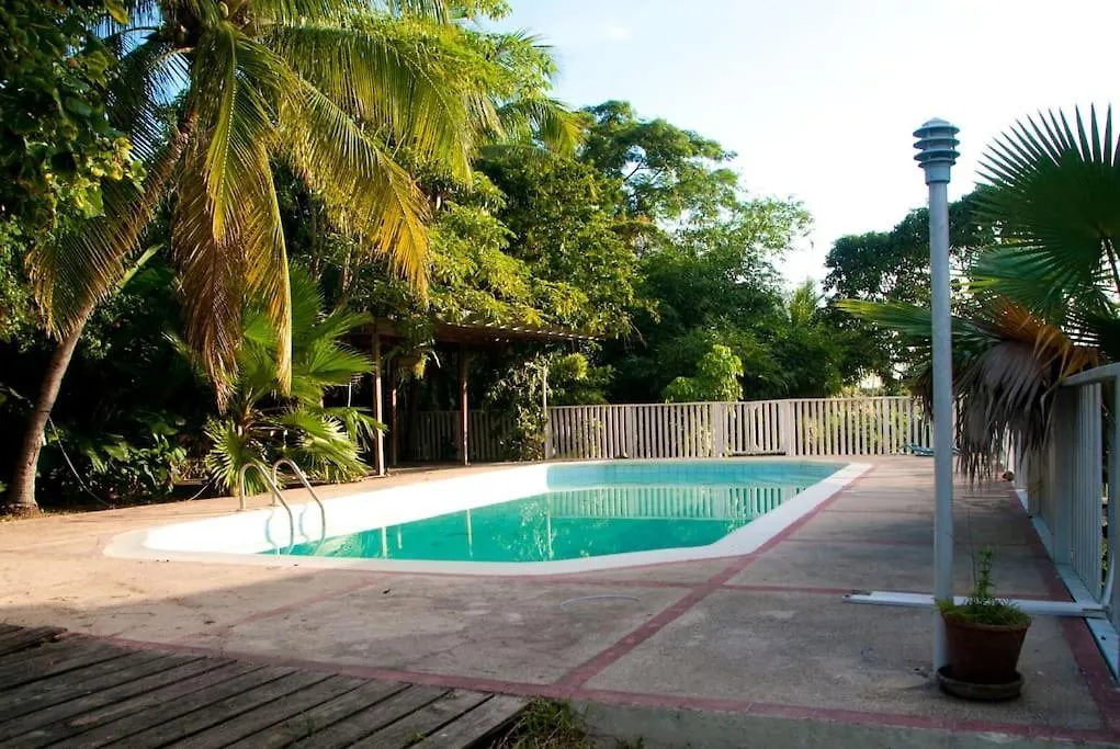Bohemian Lodge - Artist'S Boutique Kingston Holiday home